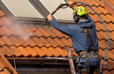Démoussage et hydrofuge de toiture à Briennon